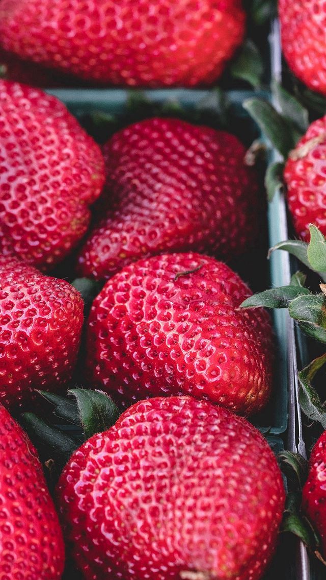 640x1136 Strawberry Red Fruit Nature Spring - yummy iPhone Wallpaper