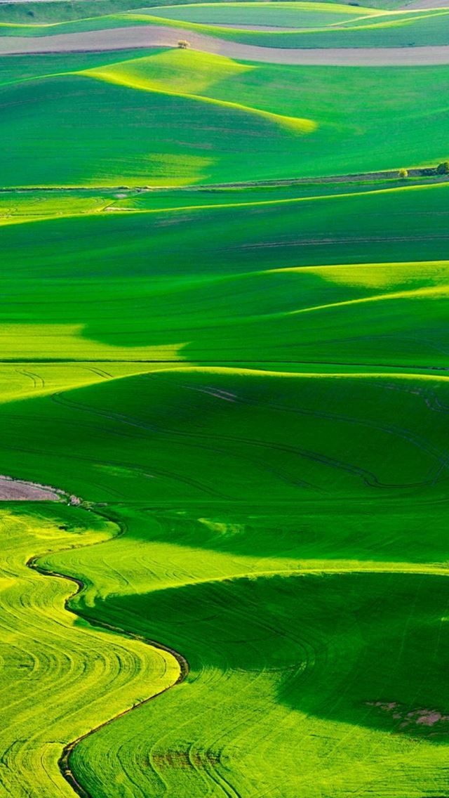 640x1136 Nature Spring Fresn Grassland - plain iPhone Wallpaper