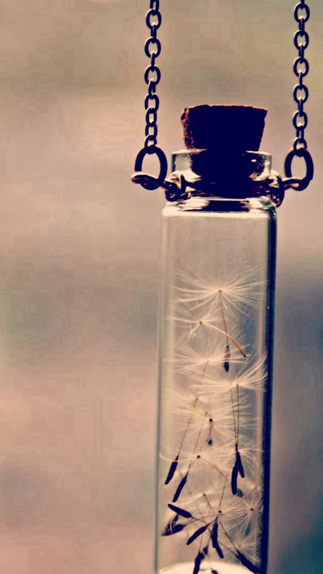 640x1136 Wishing Bottle Nature Dandelion - dandelion iPhone Wallpaper