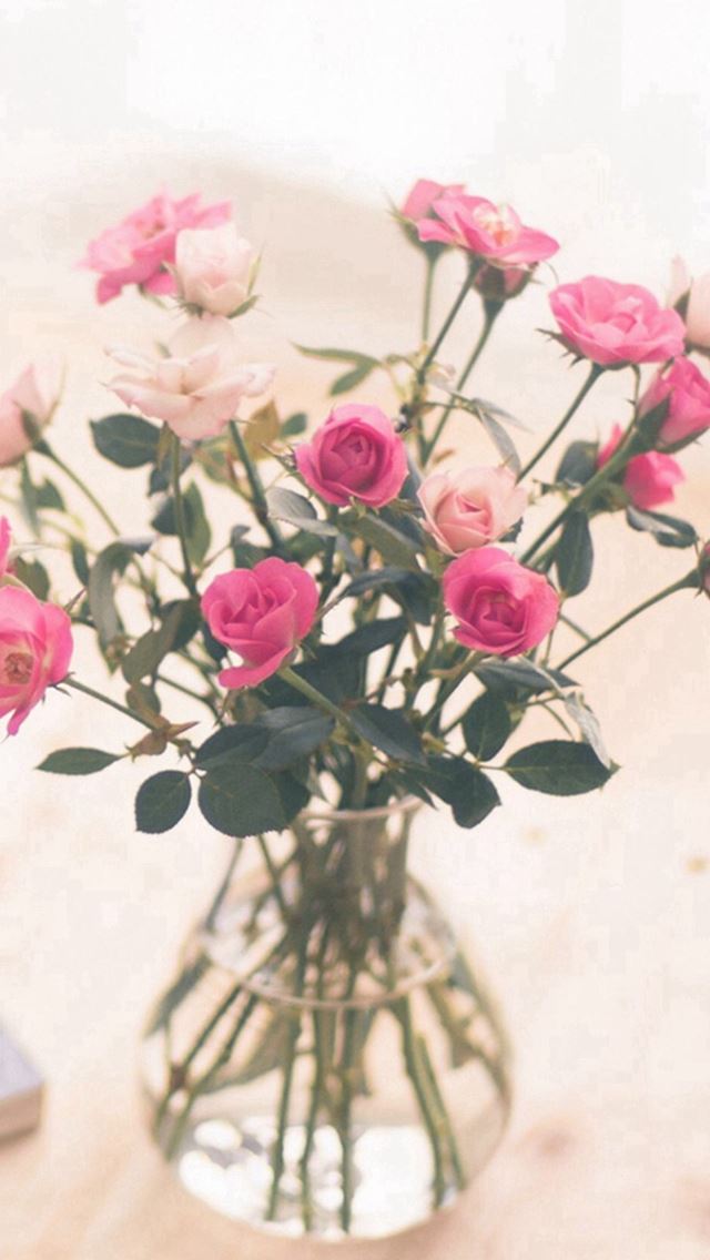 640x1136 Nature Beautiful Flower Bouquet Vase - decoration iPhone Wallpaper