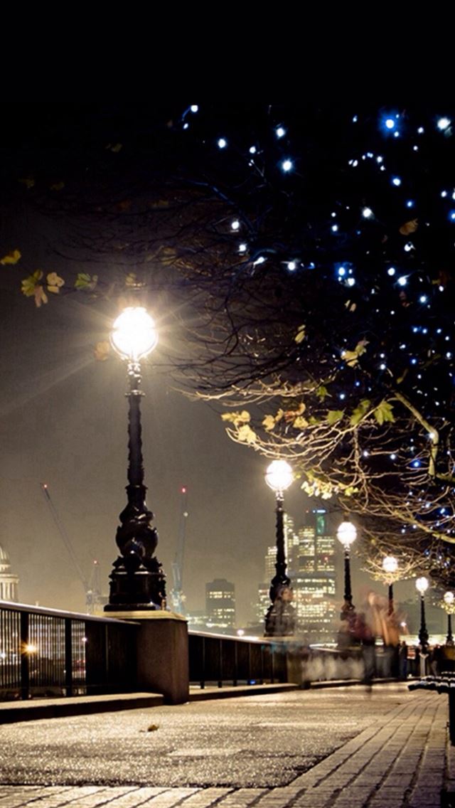 640x1136 Dark Night Street Lamp Shiny Light - path iPhone Wallpaper