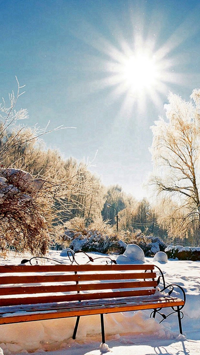 Winter Snowy Sunshine Bright Bench Park iPhone wallpaper 