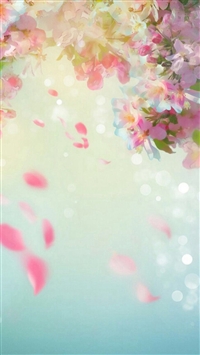 Dreamy Bloomy Colorful Flower Petals Pattern wallpaper