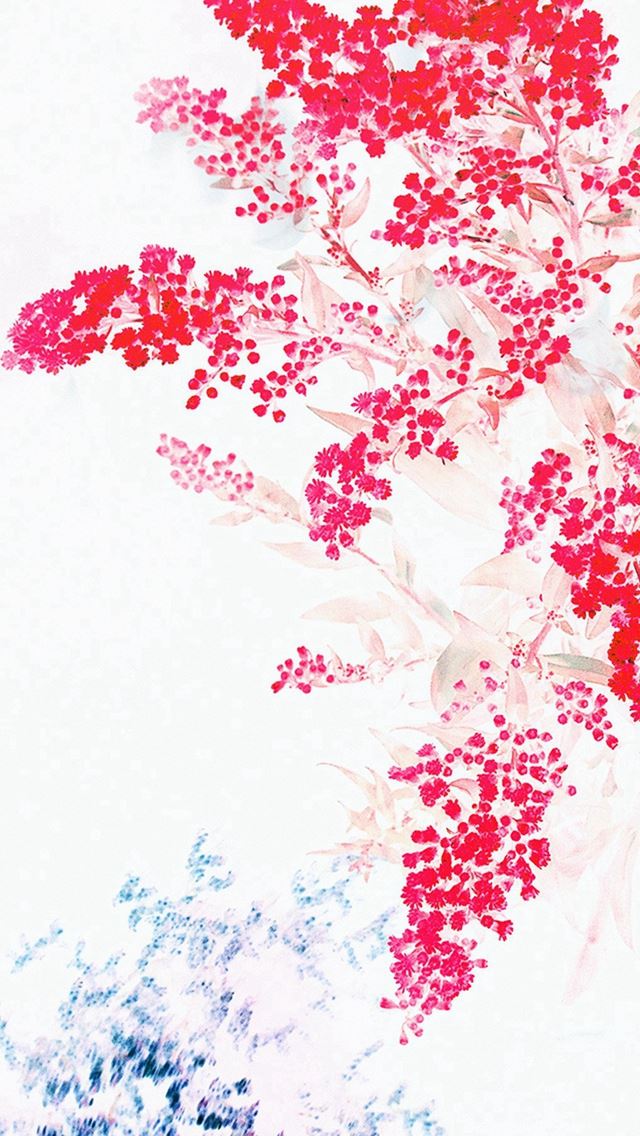 640x1136 Apple Red White Flower ios9 - apple iPhone Wallpaper