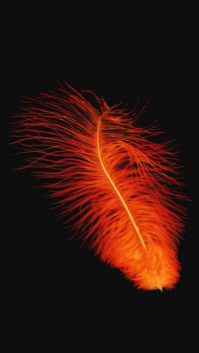 640x1136 Feather Orange Dark Nature Minimal - feather iPhone Wallpaper