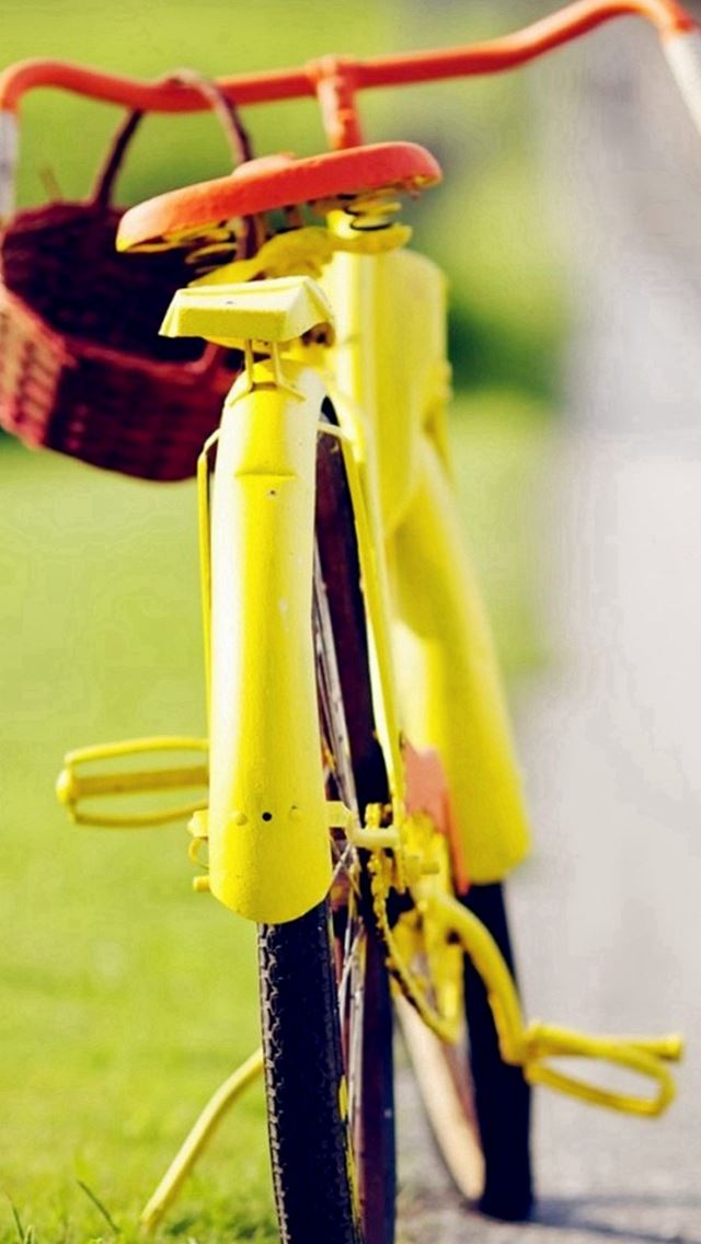 640x1136 Small Baskets And Bicycles -  iPhone Wallpaper