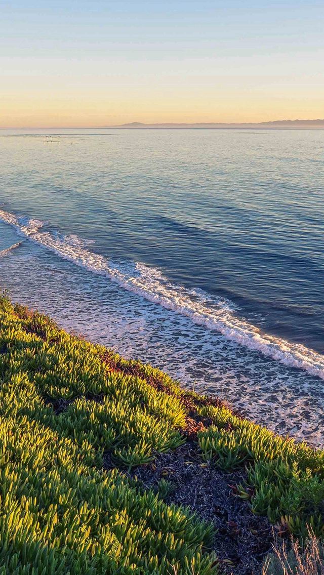 640x1136 Peace Nature Wood Sea Ocean Nature - woods iPhone Wallpaper