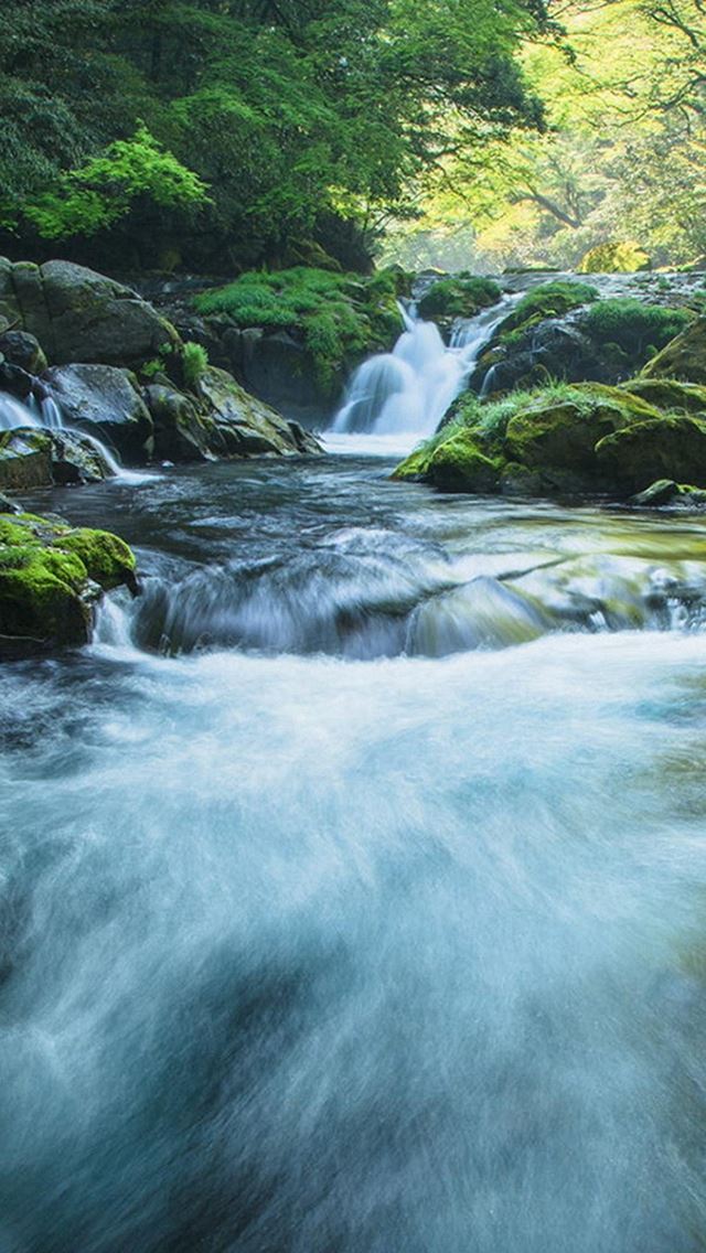 640x1136 Trees And Mountain Creek  - stone iPhone Wallpaper