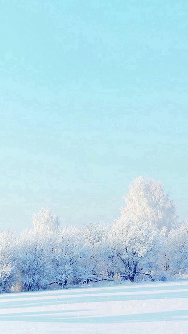 640x1136 Pure Winter Snowy White World Landscape - pure iPhone Wallpaper