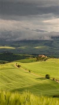 Best Grassland iPhone HD Wallpapers - iLikeWallpaper