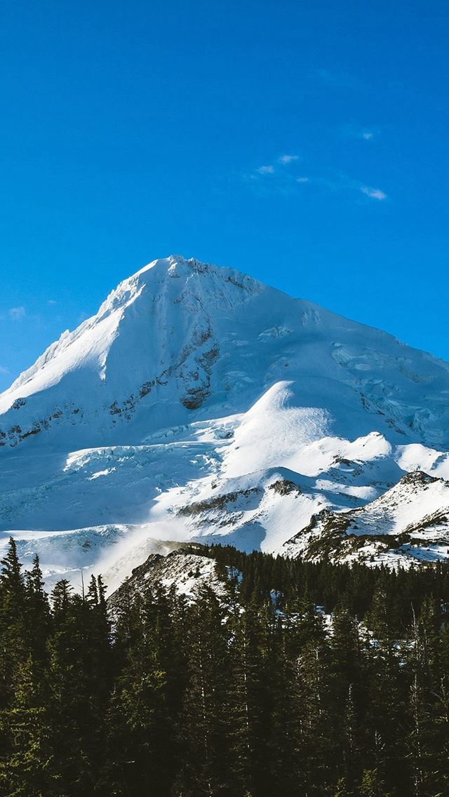 640x1136 Blue Sky Mountain Cool Snow Wood Forest Nature Winter - woods iPhone Wallpaper