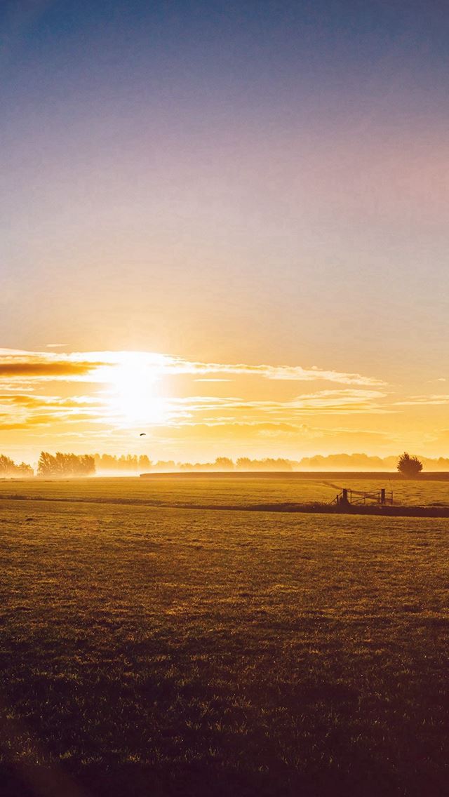 640x1136 Sunny Morning Farm Peace Nature Flare - skyscape iPhone Wallpaper