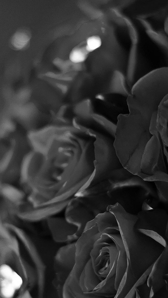 640x1136 Flower With Diamond Dark Bw Love Propose - bw iPhone Wallpaper