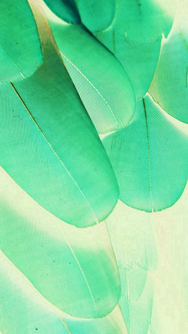 Feather Green Blue Nature Texture Animal Pattern iPhone Wallpapers Free ...