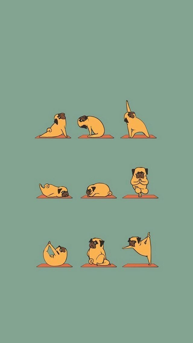 1284x2778 Funny Pug Doing Yoga - green iPhone Wallpaper