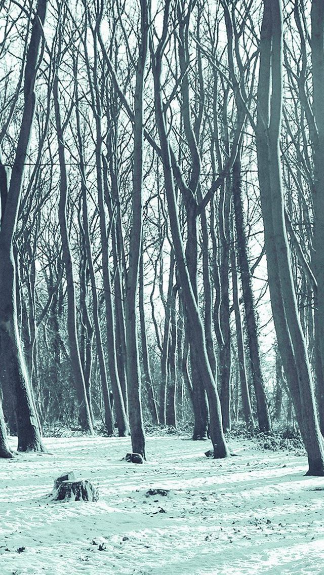 640x1136 Cold Winter Forest Snow Nature Mountain Blue - shadow iPhone Wallpaper