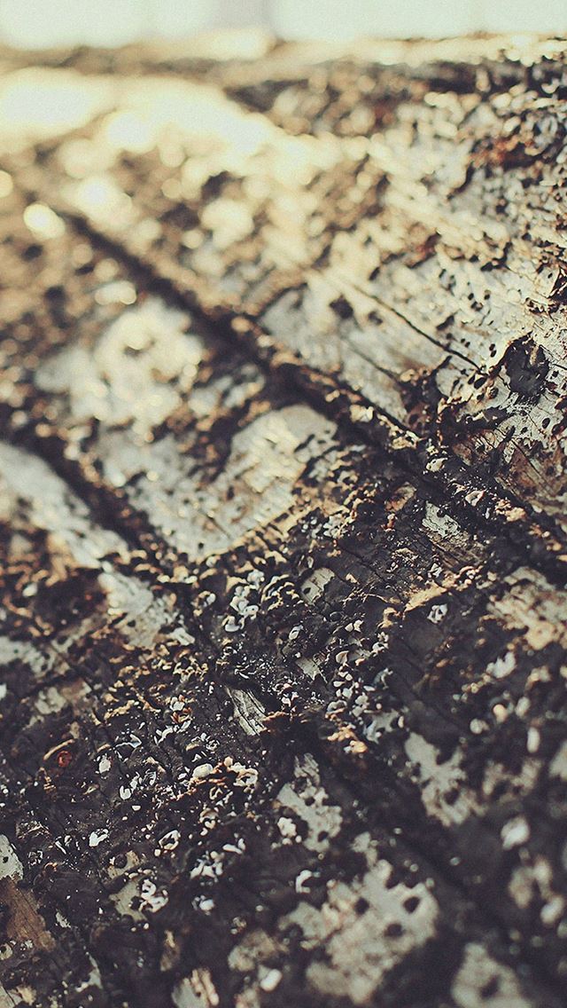 640x1136 Boat Sunrise Tree Texture Macro - sunrise iPhone Wallpaper