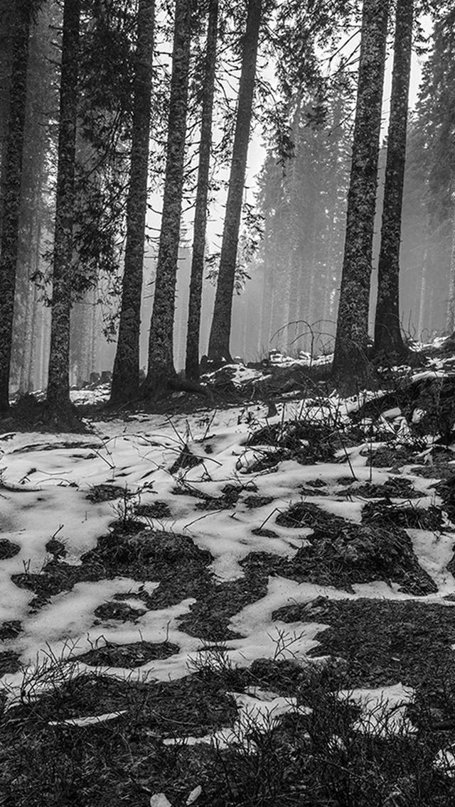 640x1136 Mountain Snow Woods Nature Dark Bw - woods iPhone Wallpaper