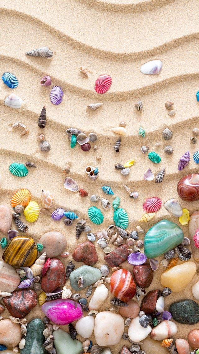 640x1136 Colorful Seashell On Sand - sandy iPhone Wallpaper