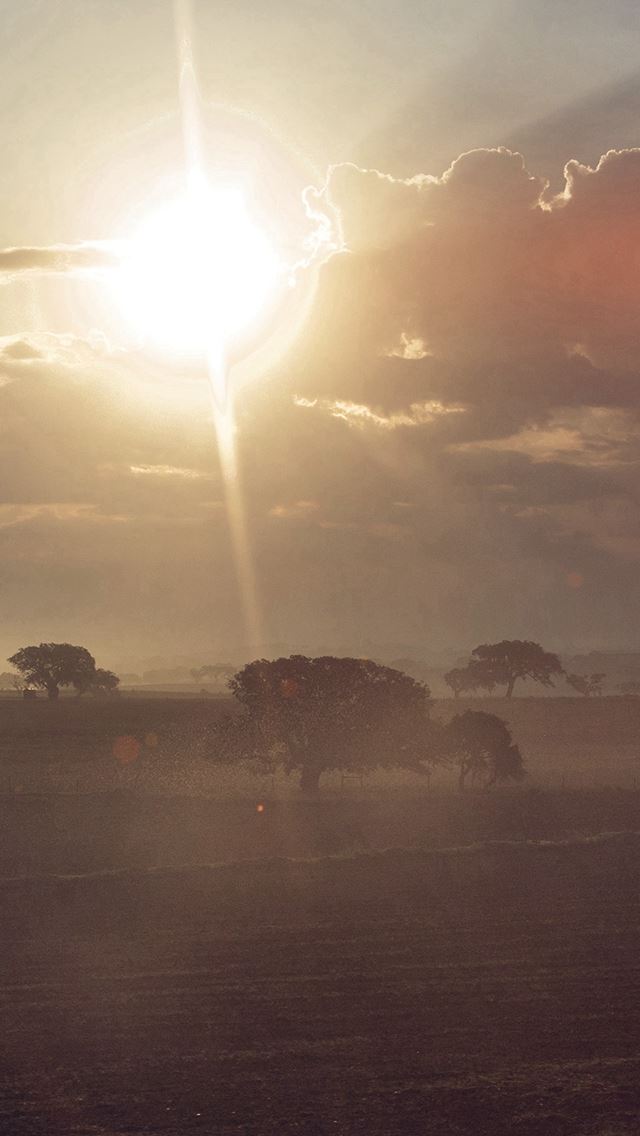 640x1136 Shiny Farm Nature Sunny Flare Day Summer Blue - shiny iPhone Wallpaper
