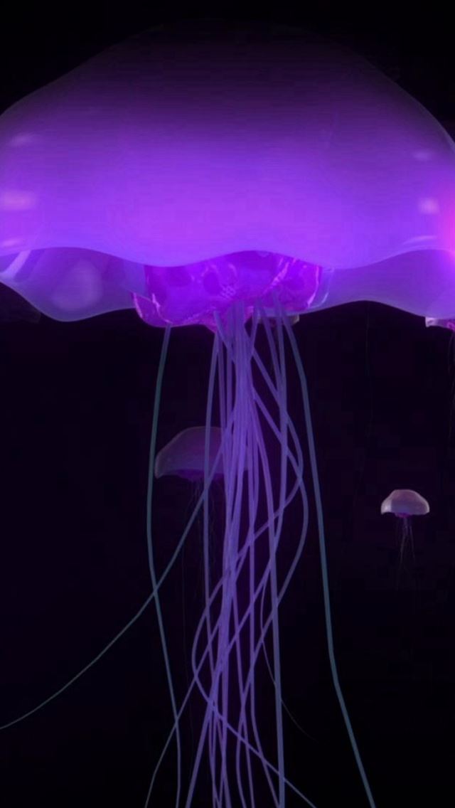 640x1136 Ocean Undersea Transparent Luminous Jellyfish - beautiful iPhone Wallpaper