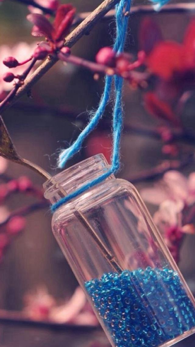 640x1136 Nature Pink Blossom Plant Vintage Glass Bottle - blossom iPhone Wallpaper