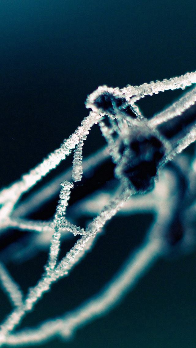 640x1136 Broken Chain Blue Bokeh Pattern - macro iPhone Wallpaper