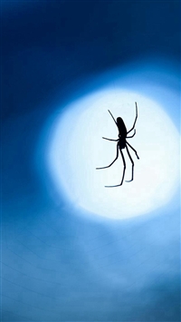Nature Night Moonlight Shadow Single Ant wallpaper