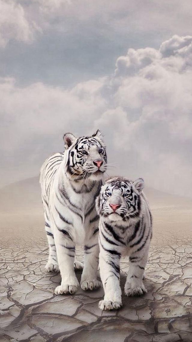 640x1136 Drought Sandy Clouds White Tiger Cp - crack iPhone Wallpaper