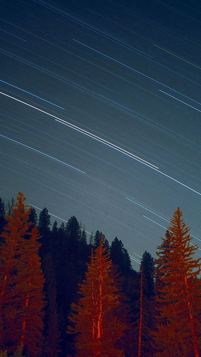 640x1136 Night Wood Mountain Star Sky Nature - pine trees iPhone Wallpaper