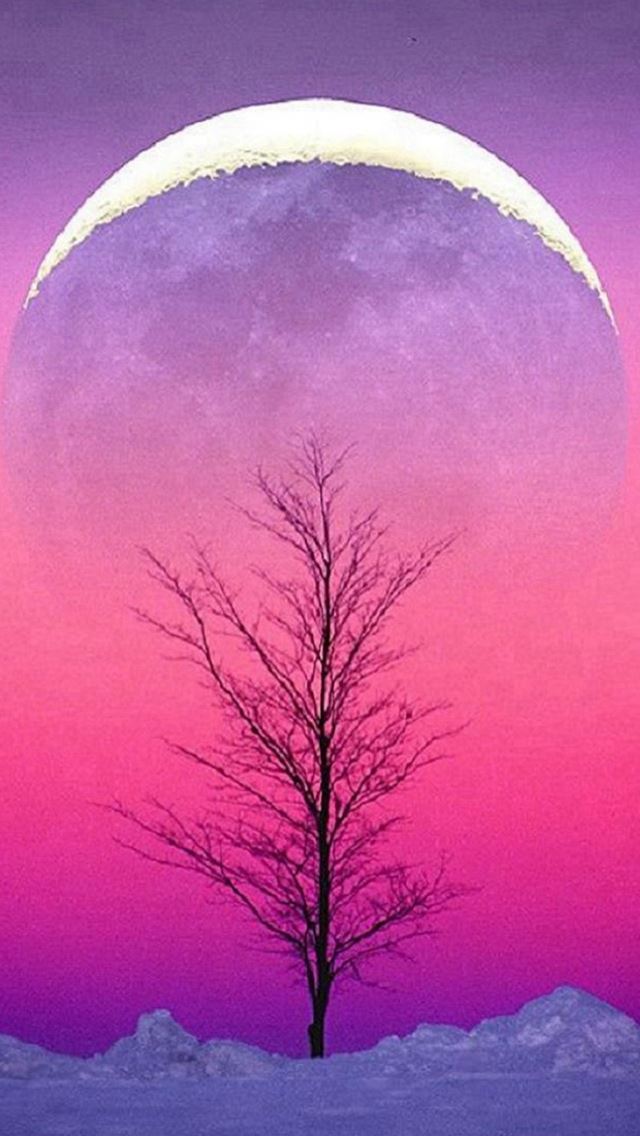 640x1136 Pure Aesthetic Cold Sky View - pure iPhone Wallpaper