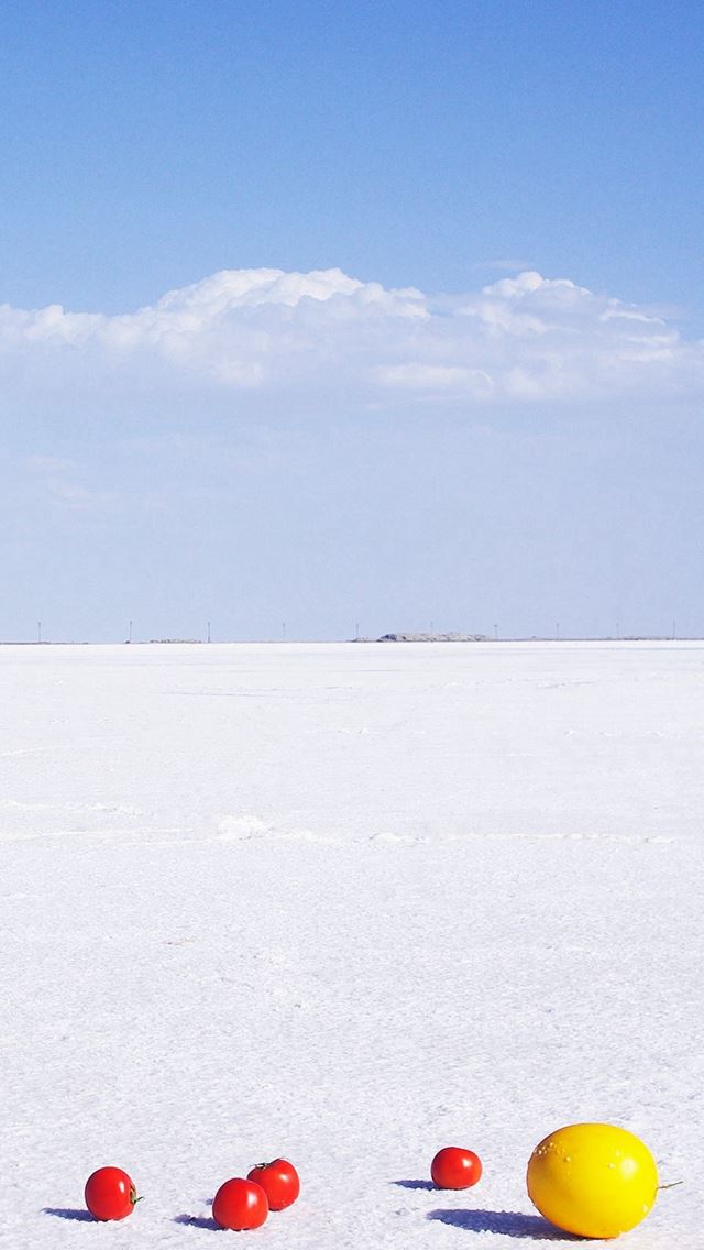640x1136 Nature Sunny Fruit Pure Beach Landscape - shadow iPhone Wallpaper