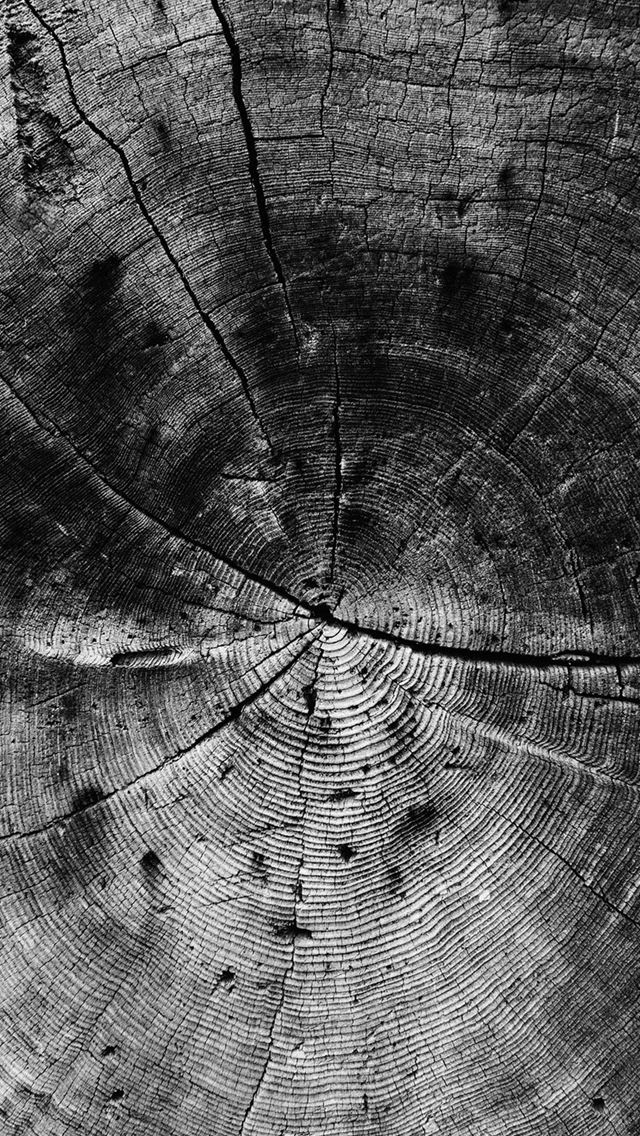 640x1136 Wood Line Texture Old Dark Pattern Bw -  iPhone Wallpaper