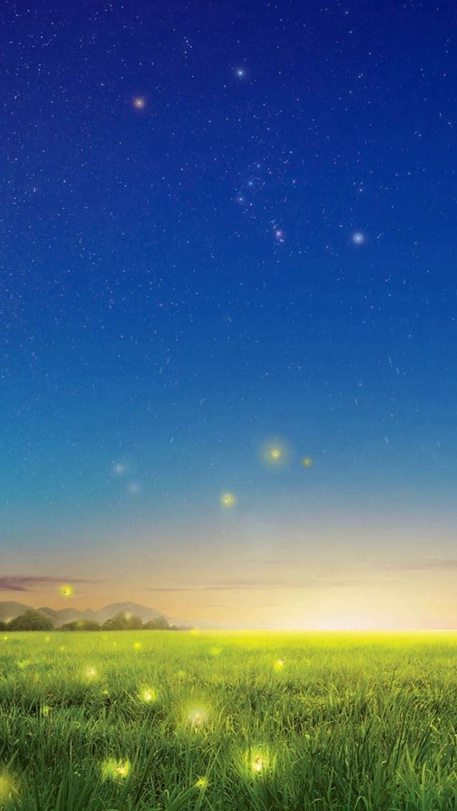 640x1136 Wonder Night Glowworm Flying Lawn Field - pure iPhone Wallpaper