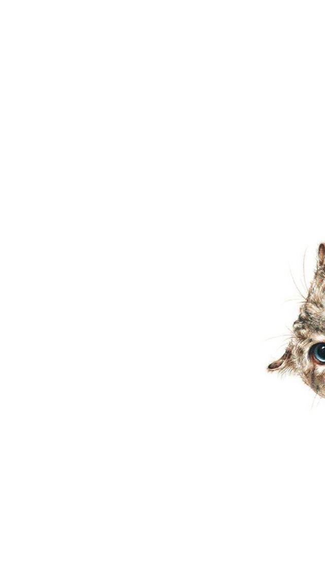 640x1136 Curious Cat Sneaking Up  -  iPhone Wallpaper