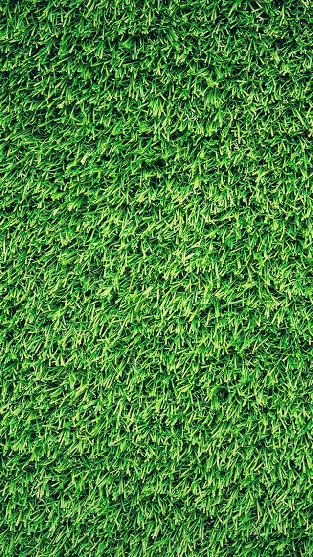 640x1136 Grass Green Pattern Nature - simple iPhone Wallpaper