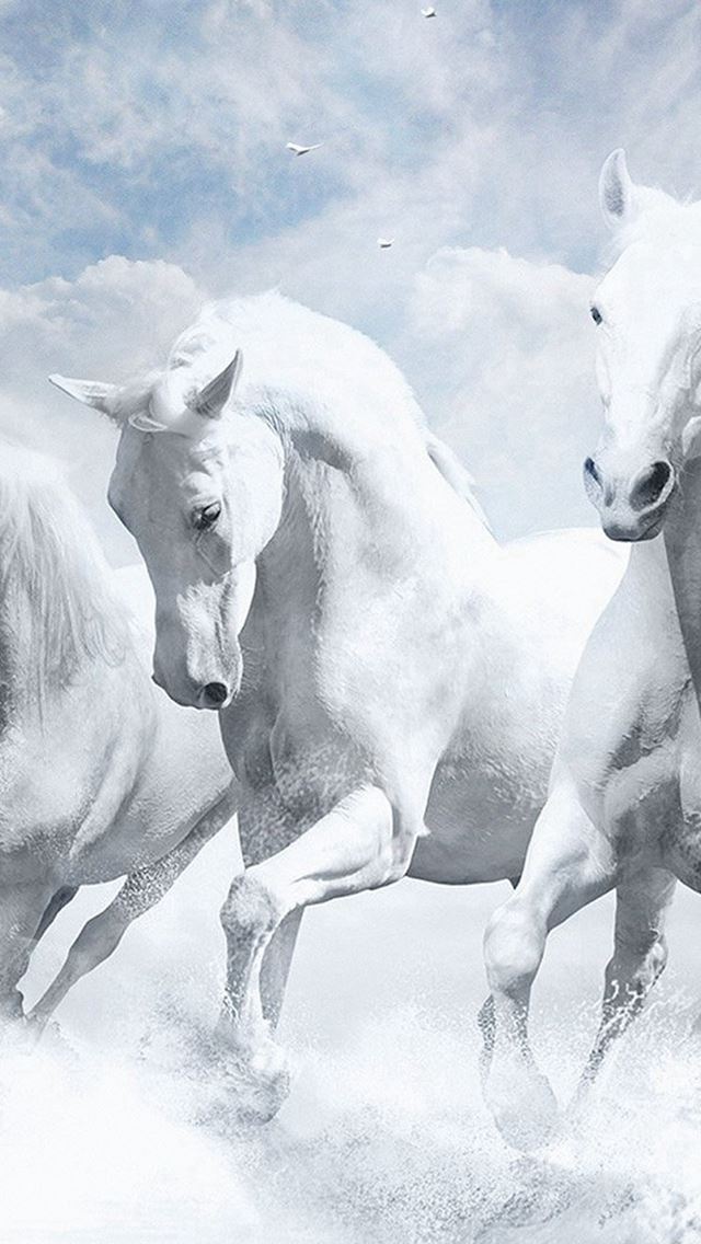 640x1136 White Horses Water Sky Illustration Art - running iPhone Wallpaper