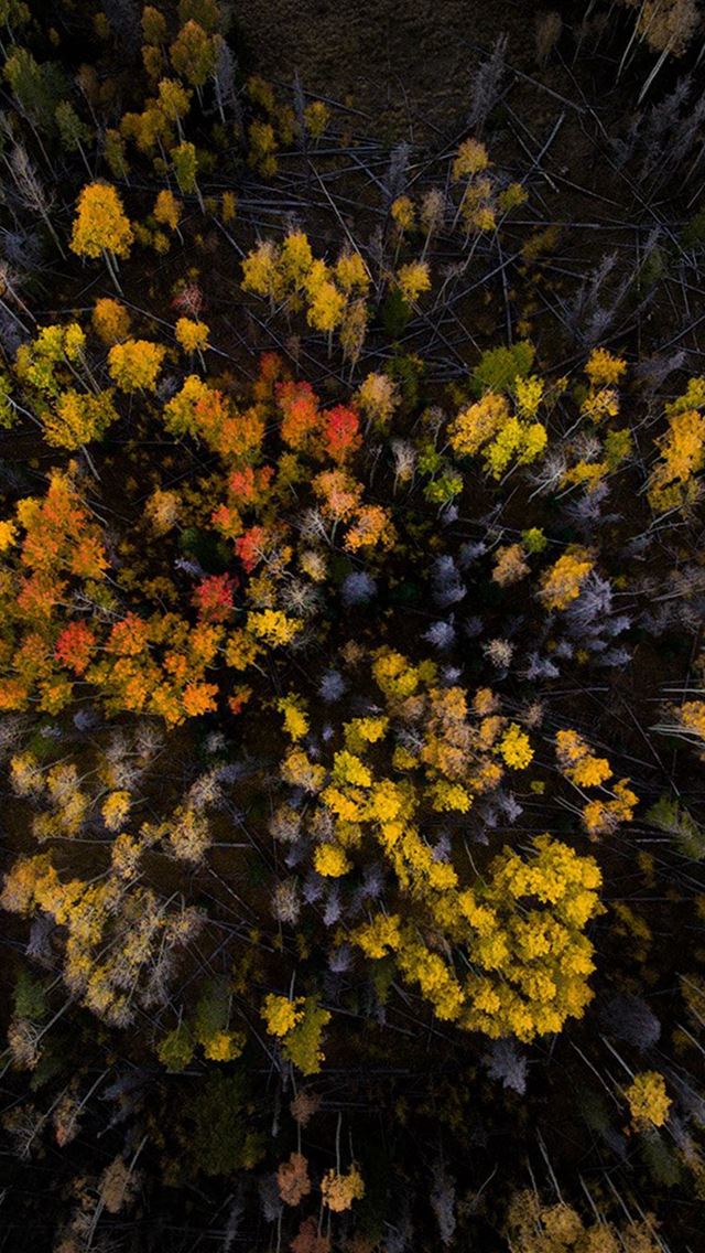 640x1136 Wood Mountain Top Sky Color Fall - purple iPhone Wallpaper