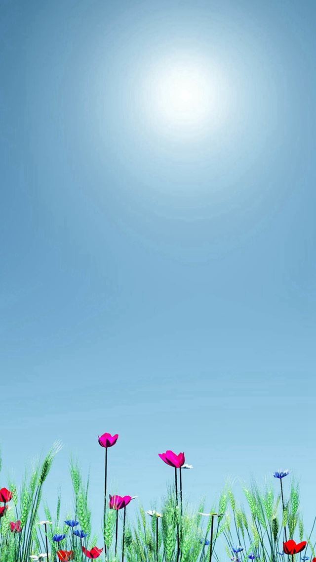 640x1136 Little Wild Flower Sunshine Bright Scenery - pure iPhone Wallpaper