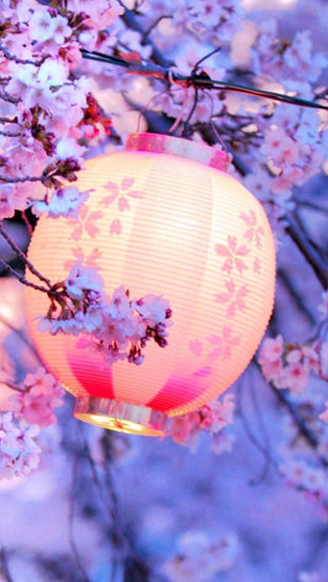 640x1136 Night Lantern Flower Trees - pure iPhone Wallpaper
