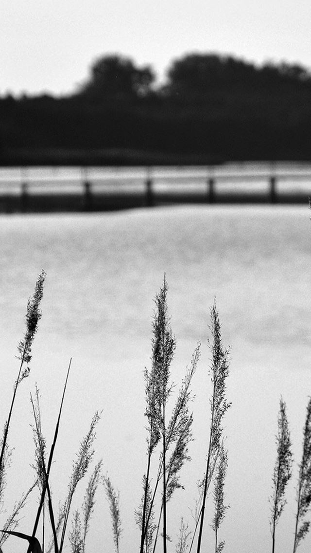 640x1136 Lake View Flower Water Calm Nature Bokeh Dark Bw - shiny iPhone Wallpaper