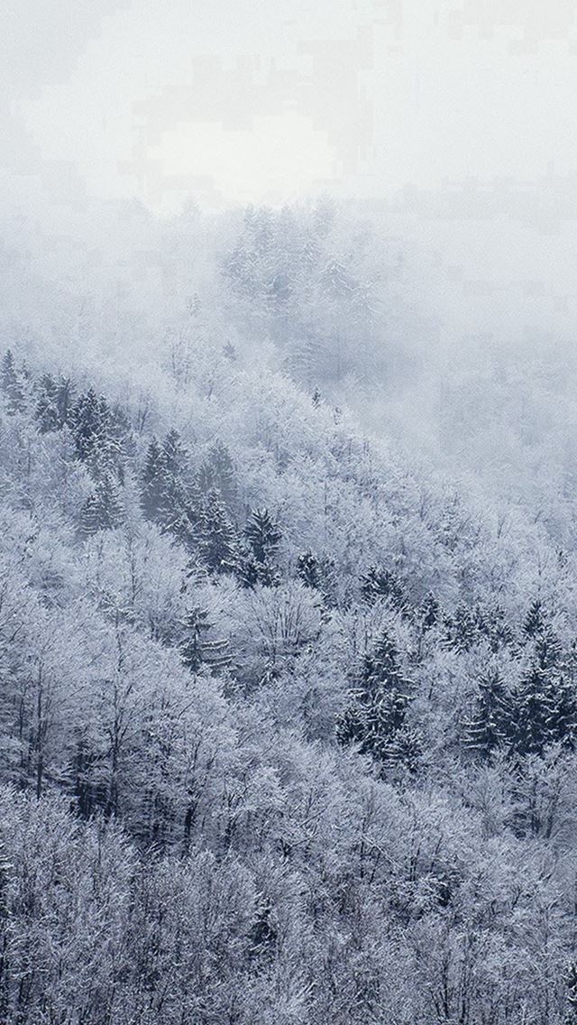 640x1136 Mountain Wood Winter Christmas White - winter iPhone Wallpaper