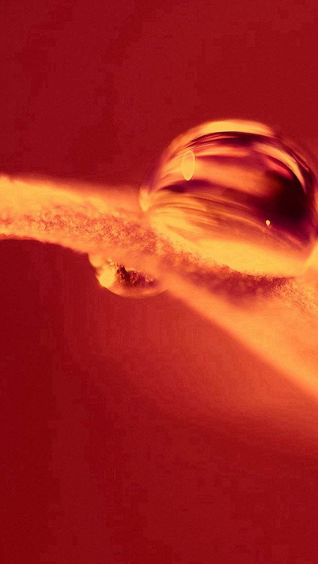 640x1136 Hot Fire Leaf Red Nature Droplet - yellow iPhone Wallpaper
