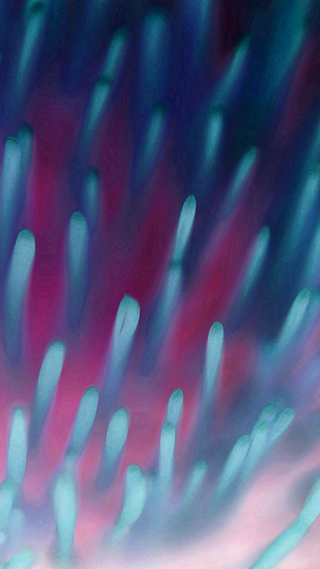 640x1136 Flower Zoom Inside Blue Red Pattern - zoom iPhone Wallpaper