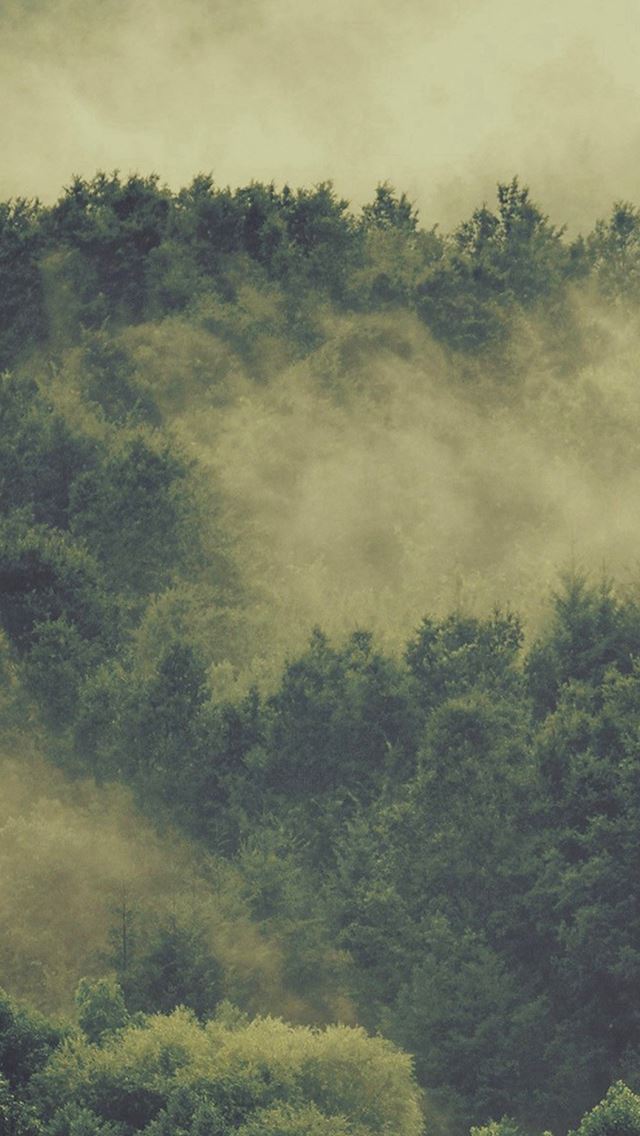 640x1136 Forest Wood Fog Nature Green Mountain - fog iPhone Wallpaper