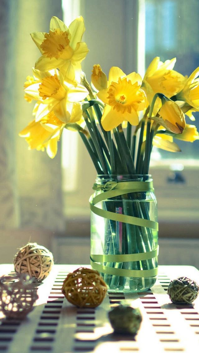 640x1136 Morning Warm Sunshine Bright Desk Flowers Vase - yellow iPhone Wallpaper
