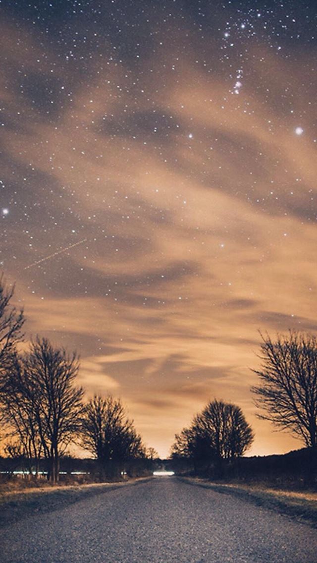 640x1136 Nature Night Shiny Road Endless Tree Roadside - tree iPhone Wallpaper