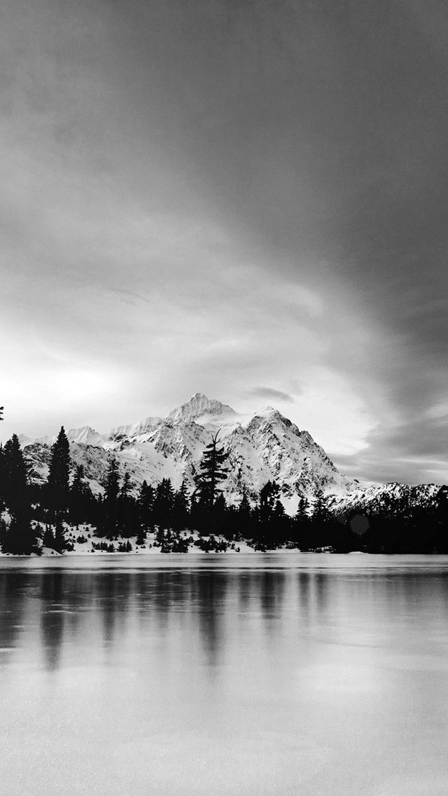640x1136 Frozen Lake Winter Snow Wood Forest Cold Bw Dark - lake iPhone Wallpaper