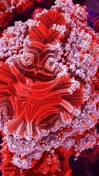 Best Coral Reef Iphone Wallpapers Hd Ilikewallpaper