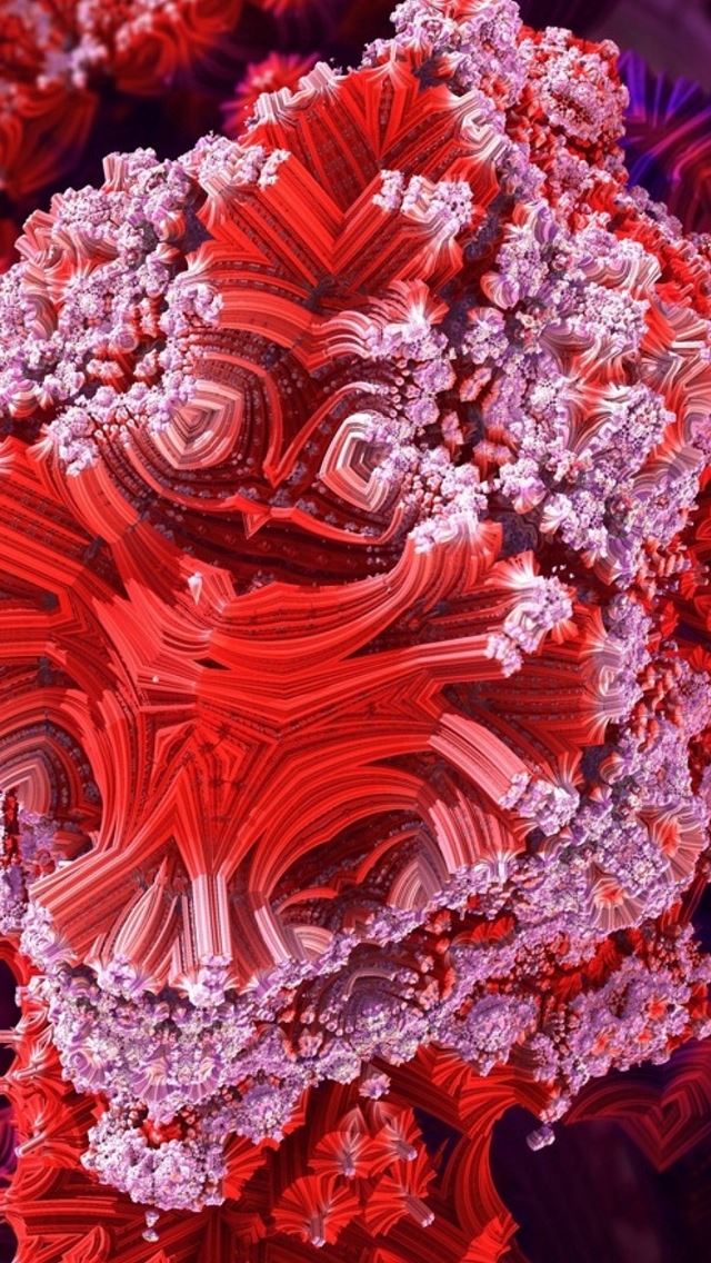 640x1136 Colorful Underwater Coral Reef Patterns Background Color -  iPhone Wallpaper